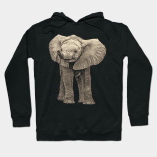 Adorable Baby Elephant Hoodie